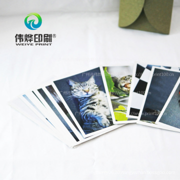 High Quality Postcard Printing From a Pet Cat